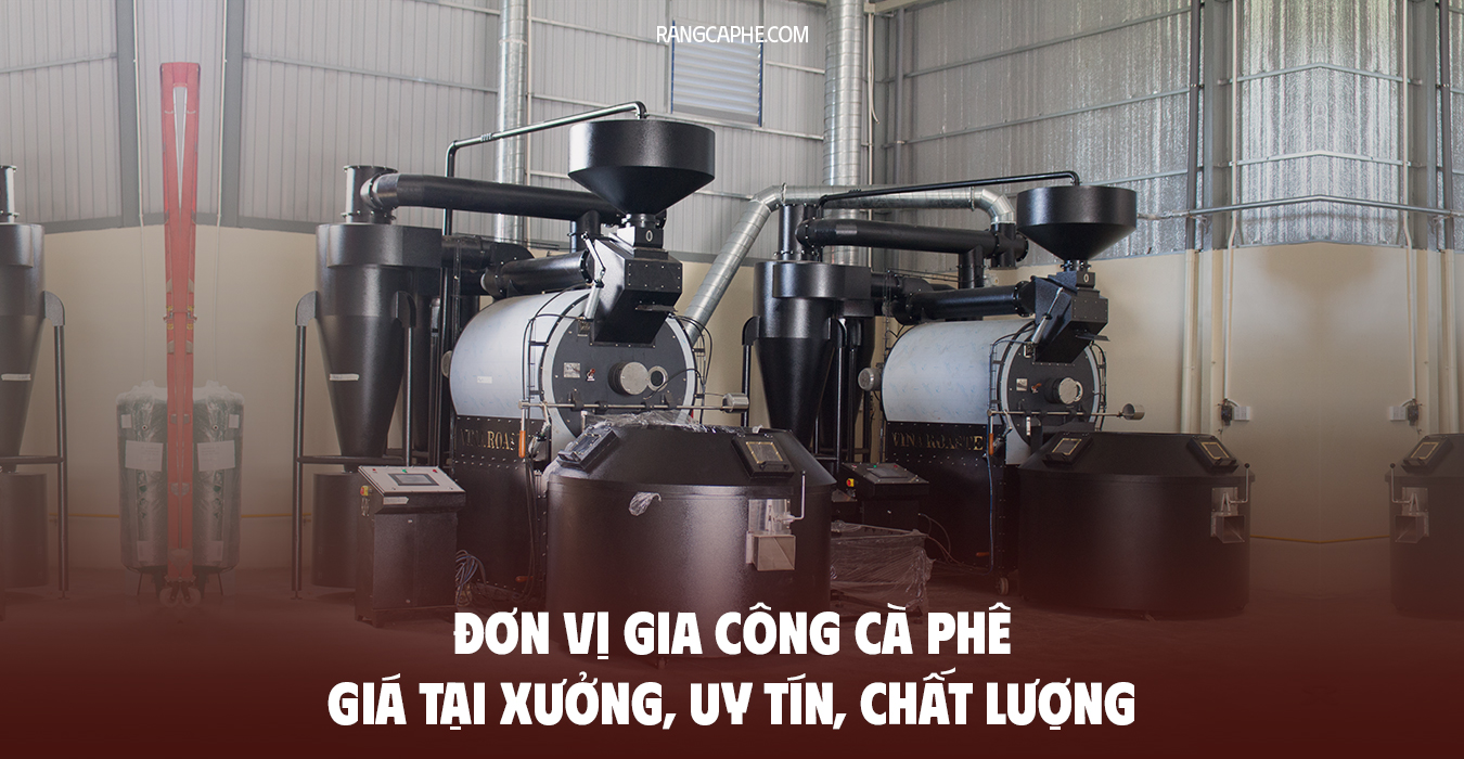 Rang gia công cà phê giá tại xưởng