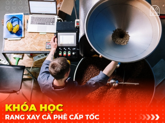 Khóa học rang xay tại nhà máy rang 100 tấn / tháng