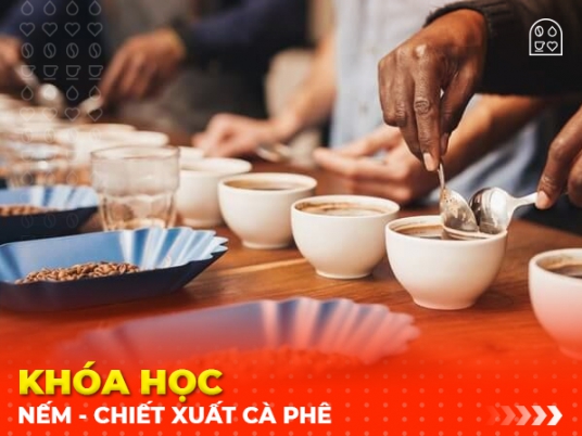 Khóa học nếm - chiết xuất cà phê