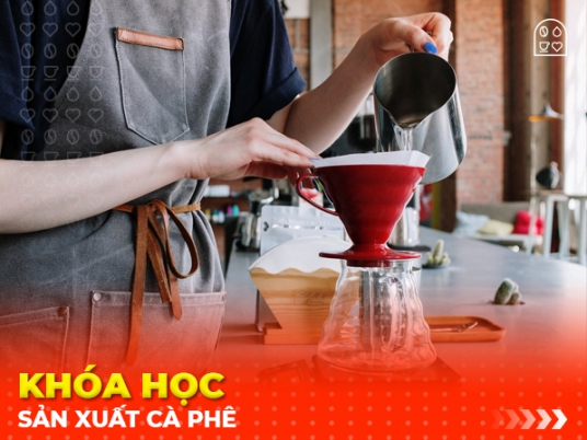Khóa học sản xuất cà phê 